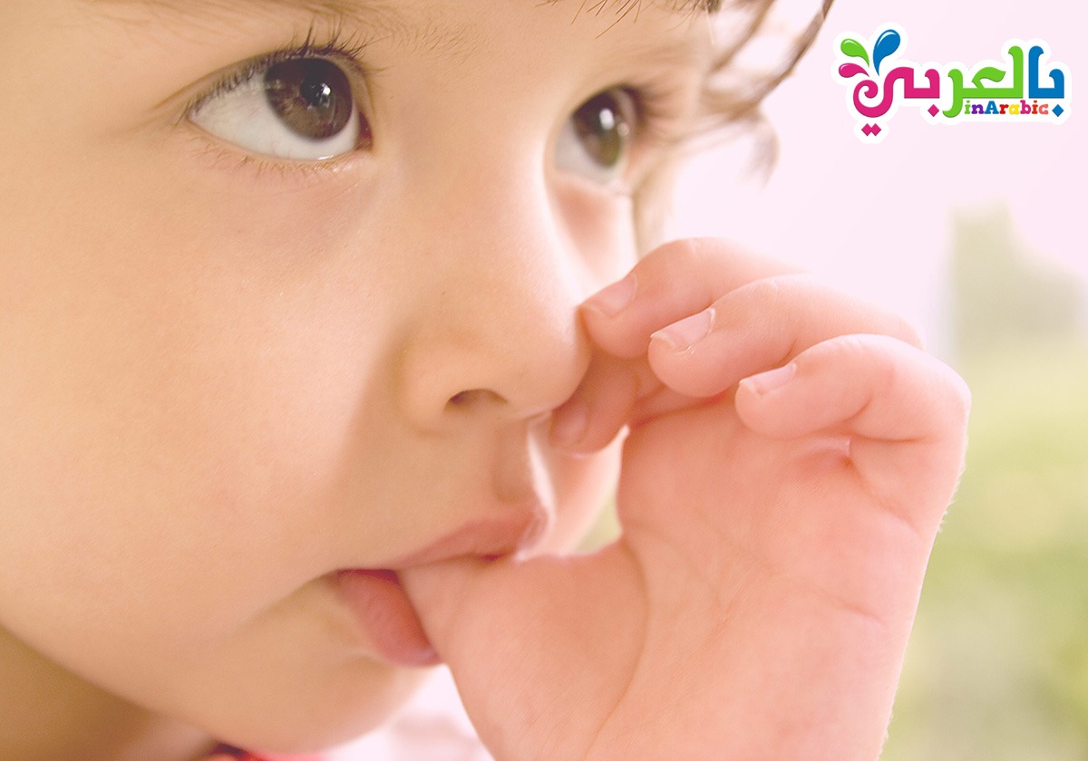 مص الإصبع عند الأطفال من مشكلات الطفولة بمقالات بالعربي نتعلم