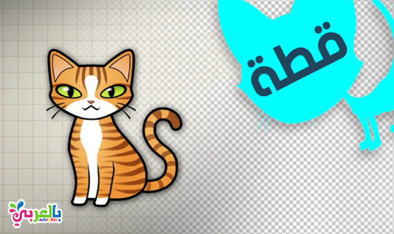 رسمة ومعلومة كيف ارسم كلب تعليم وتثقيف الاطفال مجلة الم