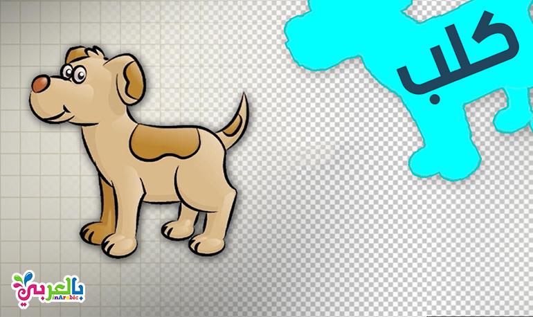 رسم كلب للاطفال بالخطوات وتلوينه بطريقة بسيطة للاطفال رسمة ومعلومة بالعربي نتعلم Draw Dog