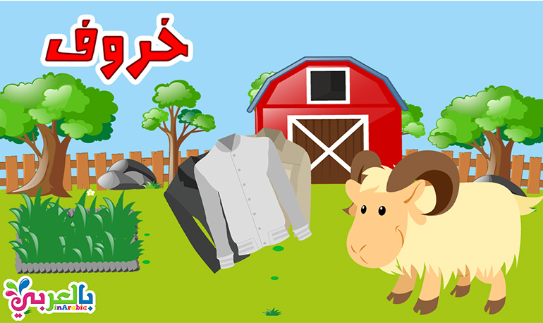 معلومات عن الخروف للاطفال في هذا الفيديو تعرف على الخروف واين يعيش Sheep