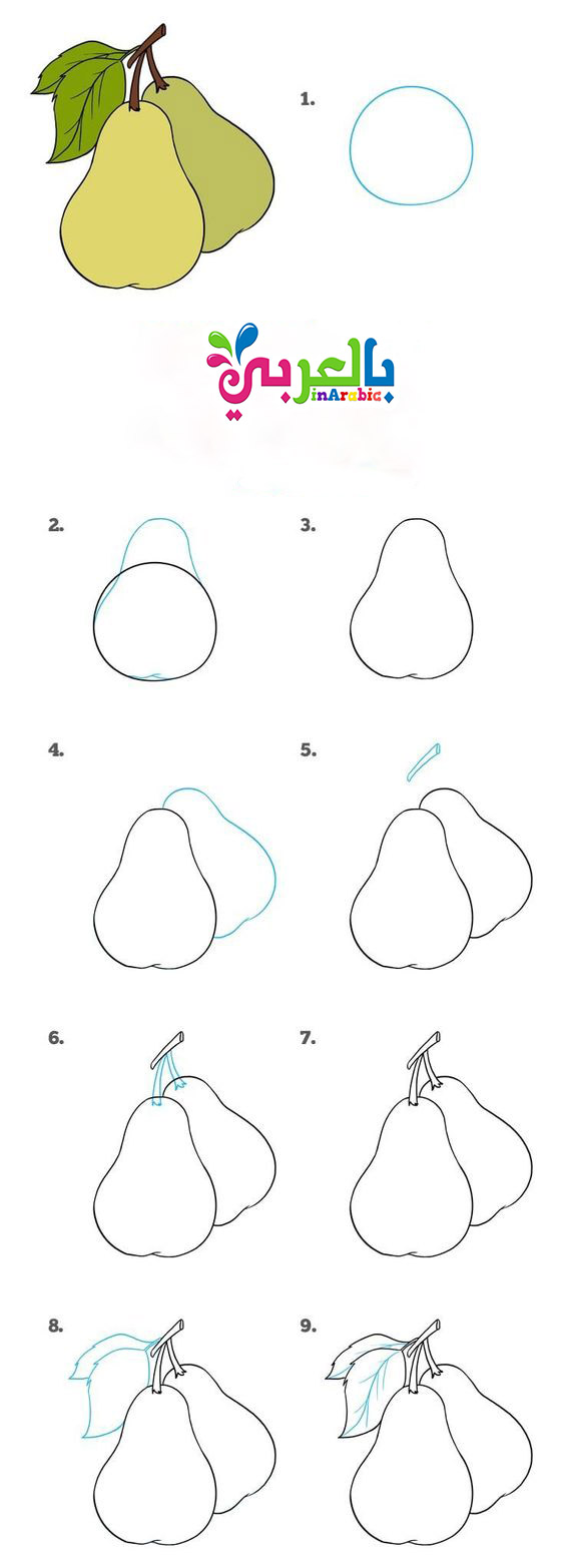 رسم الفواكه بالخطوات