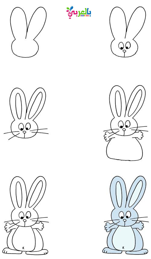 رسم ارنب للاطفال بالخطوات