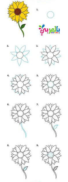 رسم وردة للاطفال بالخطوات