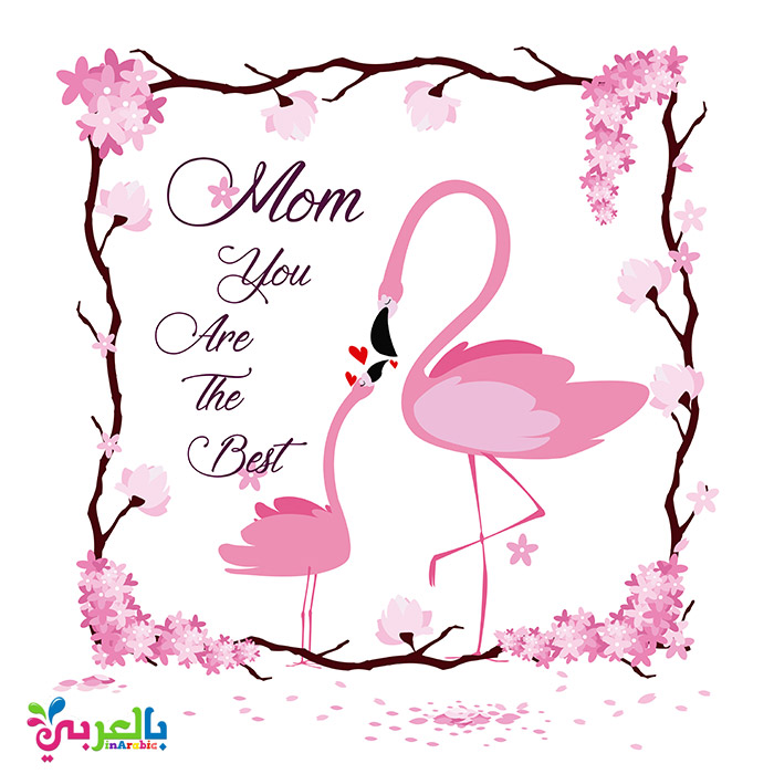 Happy mothers flamingo card