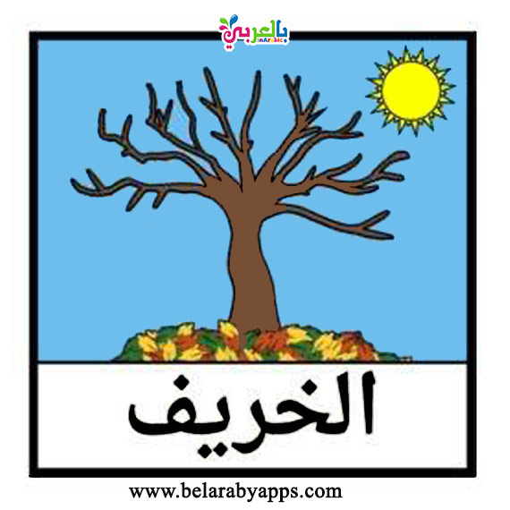 الفصول الاربعة للاطفال بالانجليزي بطاقات تعليمية فصول السنة بالعربي نتعلم