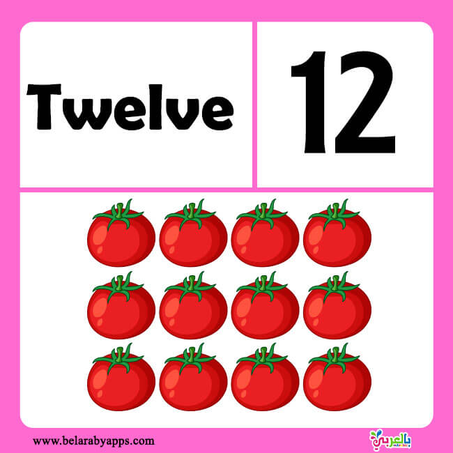 الموافقة على كسر البقع رقم 12، Nemoshideaway Com