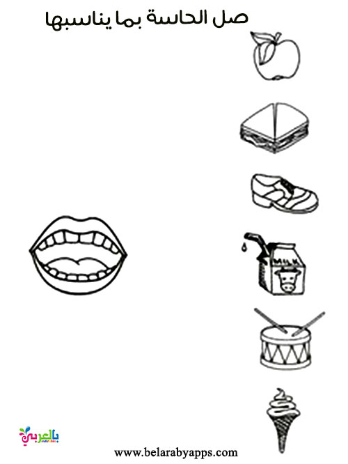 أوراق عمل عن الحواس الخمسة للأطفال جاهزة للطباعة تمارين عن الحواس 