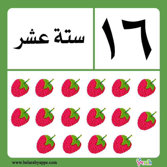 أوراق عمل الاعداد من 1 الى 20 بالعربية