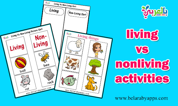 living vs nonliving activities for kindergarten