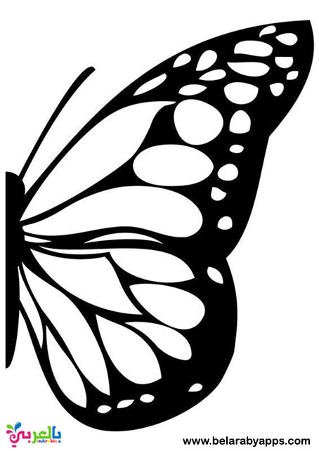 free printable butterfly templates different size butterflies