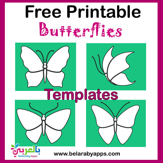 free printable butterfly templates different size butterflies belarabyapps
