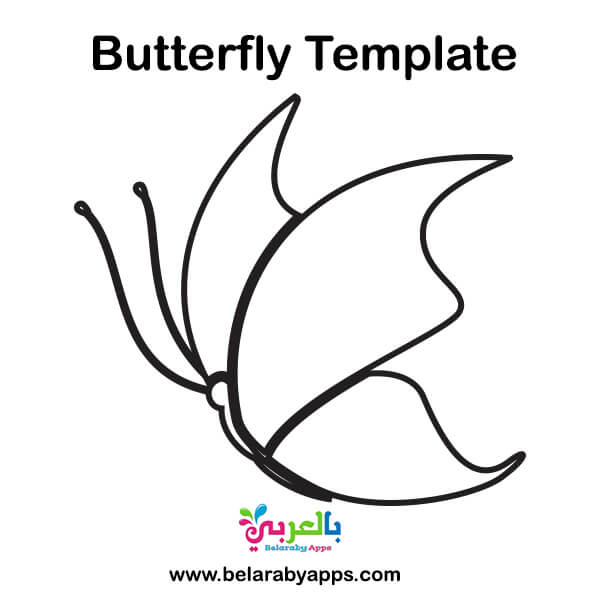 free printable butterfly templates different size butterflies belarabyapps