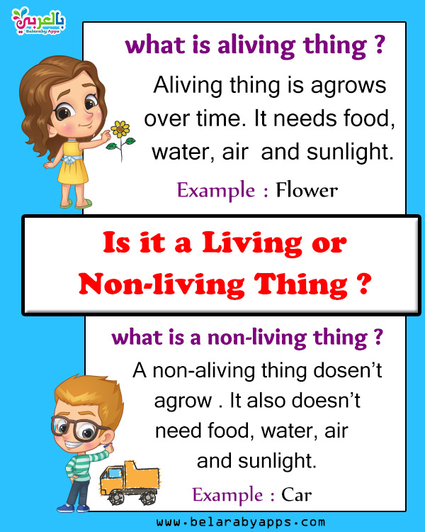 living vs nonliving activities for kindergarten