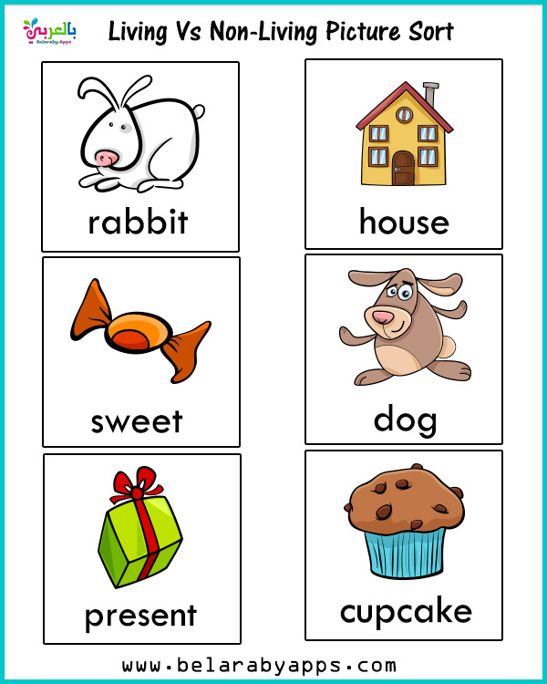 Living vs Nonliving Activities for Kindergarten ⋆ BelarabyApps