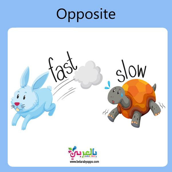 Flashcards of opposite words with pictures