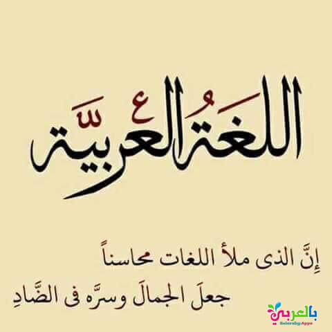 عبارات عن اللغة العربية جاهزة للطباعة