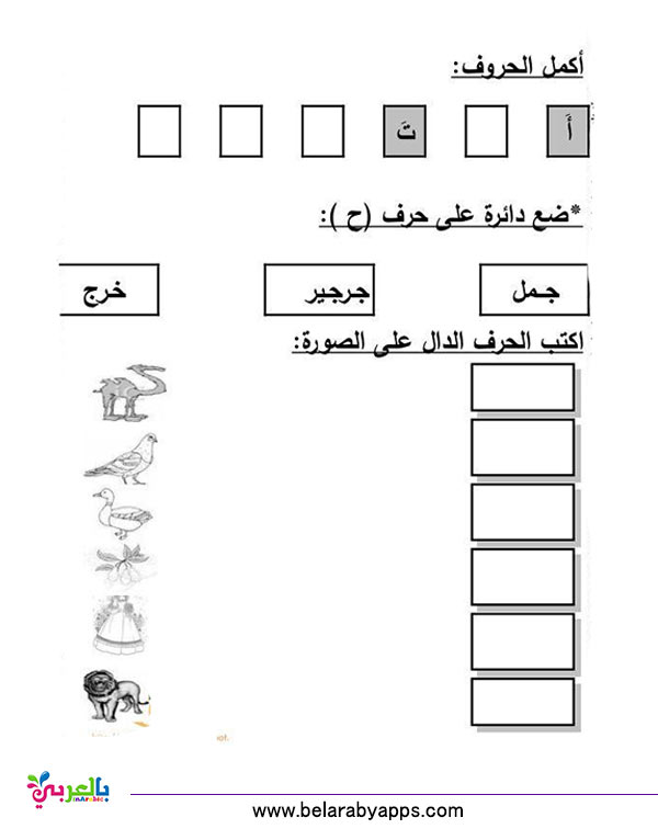 تمارين الحروف الهجائية لرياض الاطفال نموذج اختبار بالعربي نتعلم