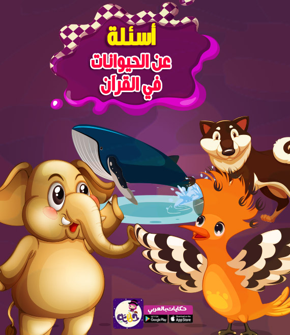 اسئلة عن الحيوانات في القرآن اسئلة واجوبة للأطفال سؤال وجواب بالعربي نتعلم