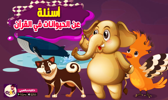 اسئلة عن الحيوانات في القرآن اسئلة واجوبة للأطفال سؤال وجواب بالعربي نتعلم