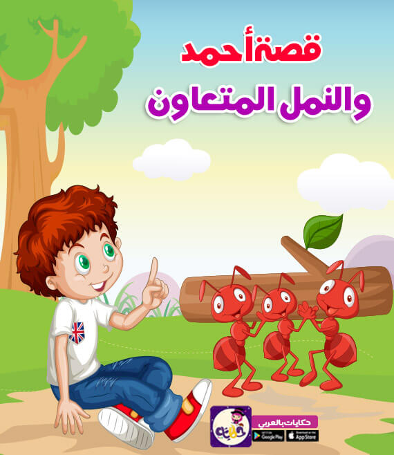 قصة أحمد والنمل المتعاون :: قصص عن التعاون للاطفال