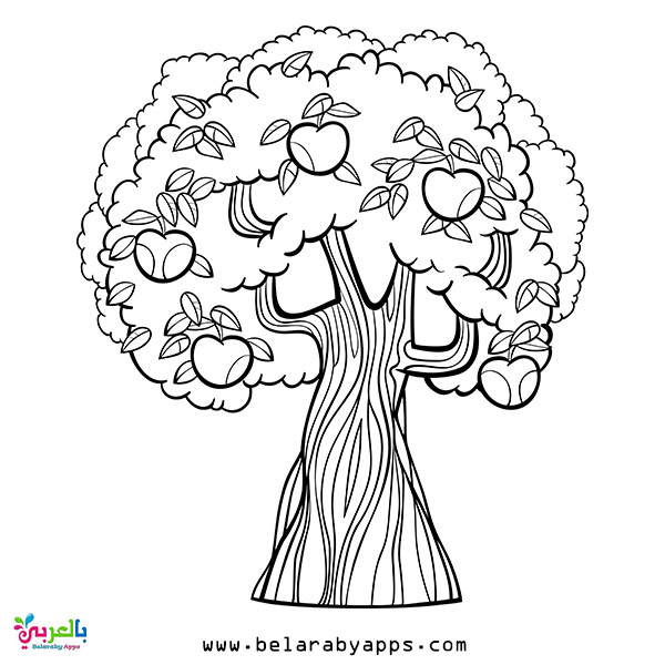 Free Spring Coloring Pages For Toddlers Belarabyapps