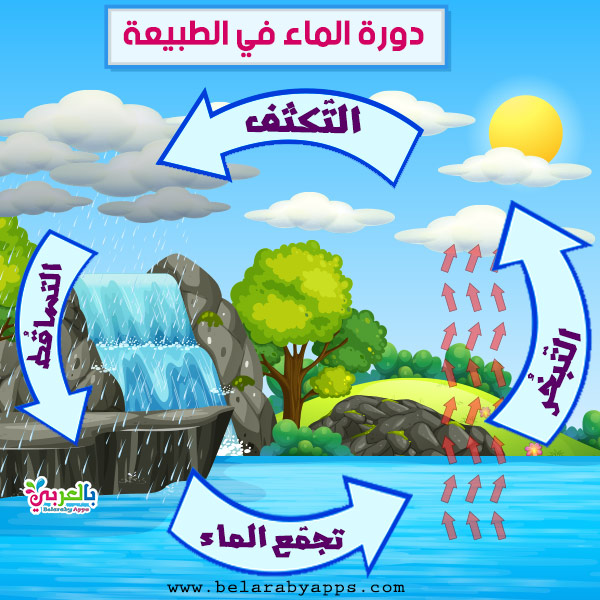 اوراق عمل دورة الماء في الطبيعة للاطفال .. رسومات تعليمية ⋆ بالعربي نتعلم