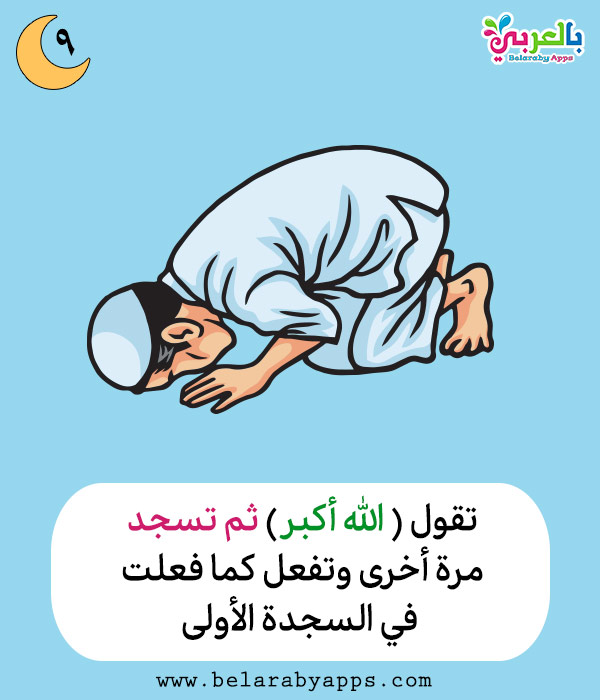 تعليم الصلاة للاطفال بالصور كيفية الصلاة للطفل المسلم بالعربي نتعلم