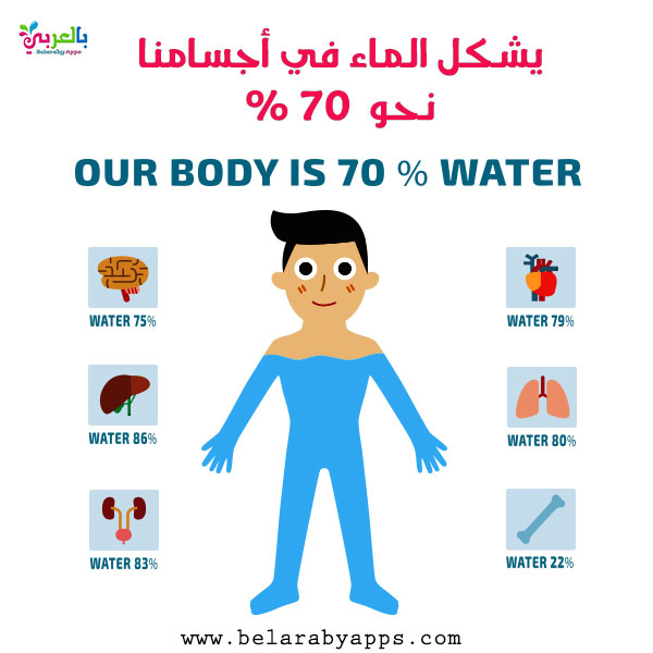 رسم عن الماء سر الحياة .. رسومات تعليمية للاطفال عن المياه ⋆ بالعربي نتعلم