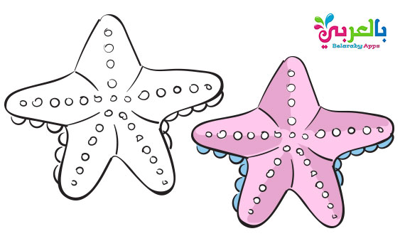 Free Printable Sea Animals Toddler Coloring Page Belarabyapps