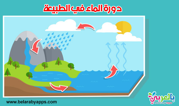 بحث عن دورة الماء في الطبيعة