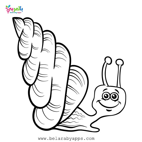 Free Printable Sea Animals Toddler Coloring Page Belarabyapps