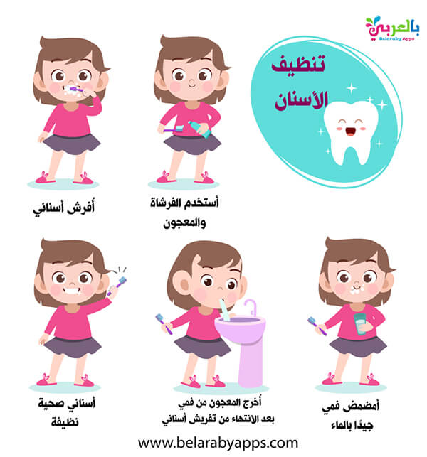 وسائل تعليمية عن نظافة الاسنان للاطفال أفكار مجسمات اسنان بالعربي نتعلم