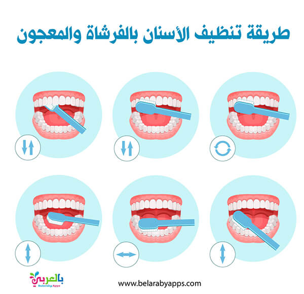 خطوات تنظيف الاسنان بالصور للاطفال الطريقة المثلى لتنظيف الأسنان بالفرشاة بالعربي نتعلم