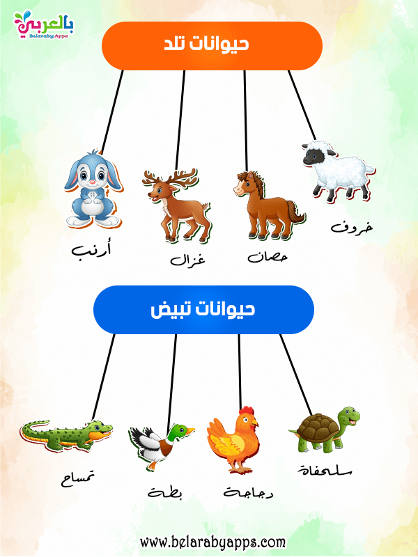 افكار شرح وحدة الحيوانات رياض اطفال حيواناتي المفضلة بالعربي نتعلم