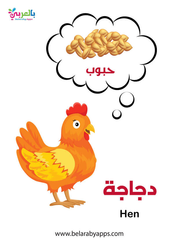 بطاقات تعليم حيوانات المزرعة لرياض الأطفال وحدة حيواناتي المفضلة بالعربي نتعلم