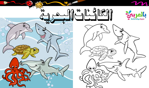 تلوين اسماك بالعربي نتعلم
