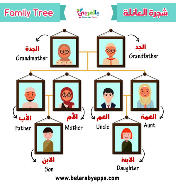 شجرة العائلة بالعربي