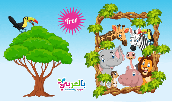 بطاقات أسماء حيوانات الغابة بالصور وحدة الحيوانات رياض اطفال بالعربي نتعلم
