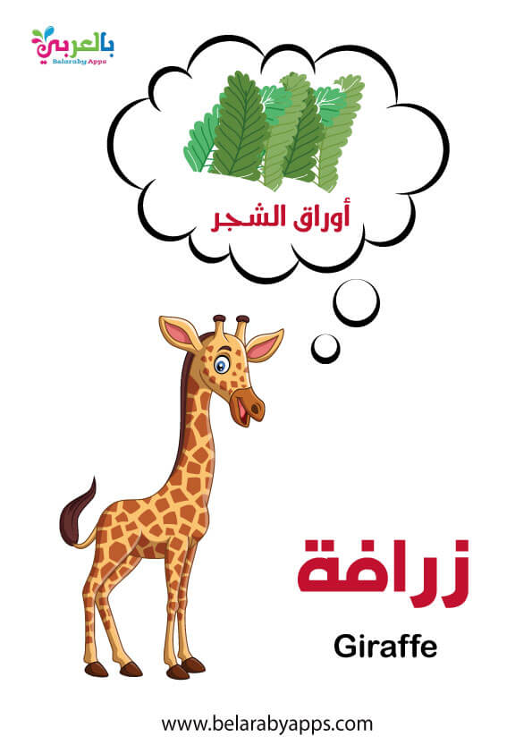 بطاقات أسماء حيوانات الغابة بالصور وحدة الحيوانات رياض اطفال بالعربي نتعلم