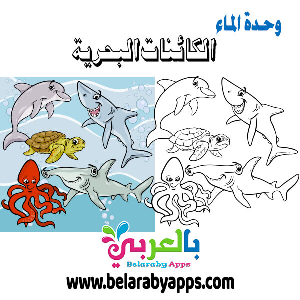 صور تلوين الكائنات البحرية وحدة الماء رسومات اسماك للتلوين بالعربي نتعلم