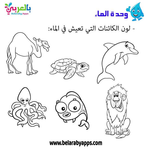 اوراق عمل عن وحدة الماء رياض اطفال Pdf تمارين إدراكية بالعربي نتعلم