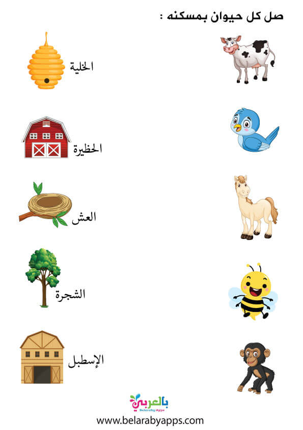 انشطة وحدة الحيوانات لرياض الاطفال اوراق عمل عن الحيوانات للاطفال بالعربي نتعلم