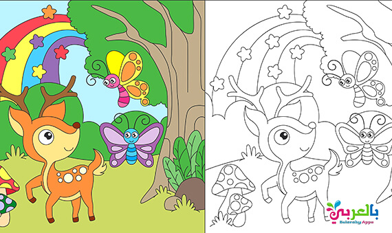 رسومات فراشات وازهار للتلوين .. رسم فصل الربيع للاطفال