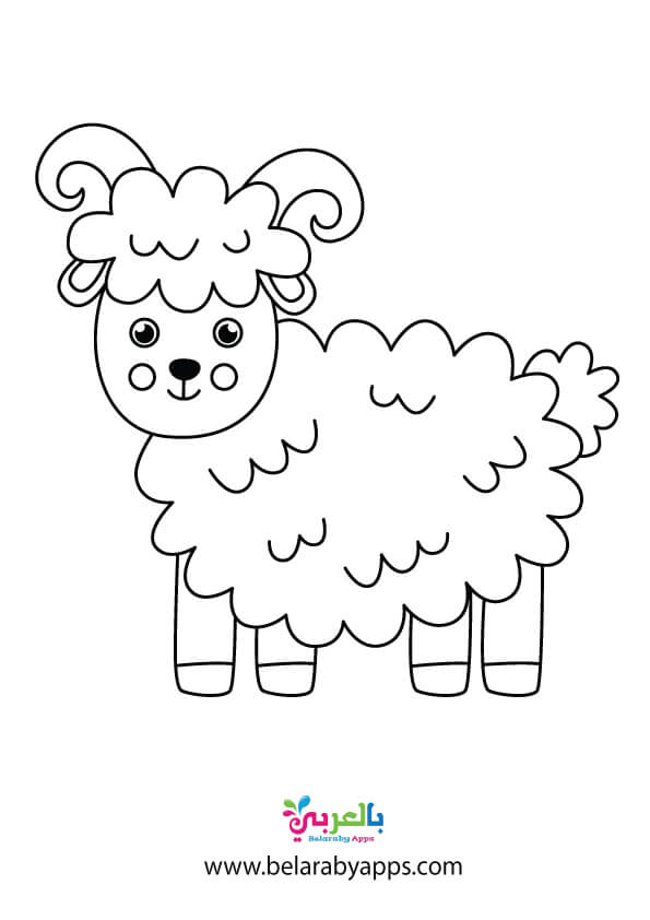 رأس خروف العيد كرتون