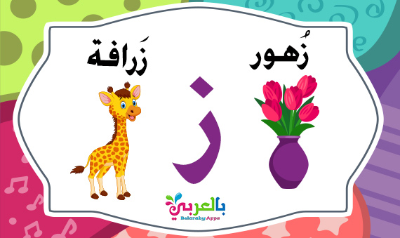 arabic letter zay words