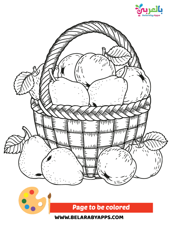 تلوين اجمل سلة فواكه للاطفال - Basket of fruits coloring pages