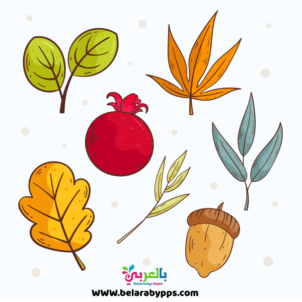 رسم اوراق الخريف - رسومات عن الخريف للاطفال