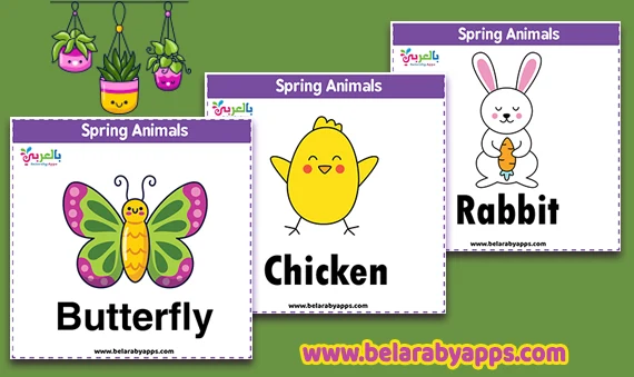 free printable spring animals flashcards